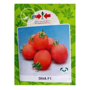 Diva F1 Tomato Seeds (East West Seed | 5g)