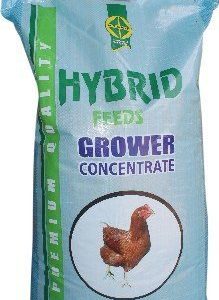 Hybrid Grower Feed | Crumble ? 25kg Bag