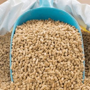 Starter Pig Feeds (TopFeed Brand | 25kg)