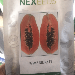 Papaya Nouna F1