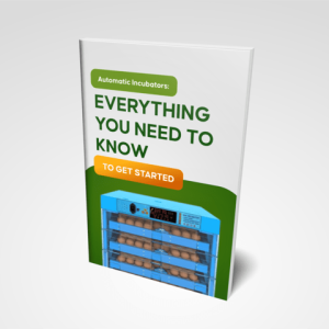 Automatic Incubators: Everything You Need to Know to Get Started (e-Book)