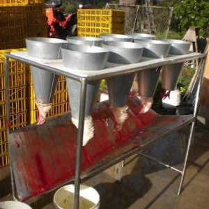 Killing Cones for Poultry Processing (Stainless Steel | 12/14 Birds Capacity)