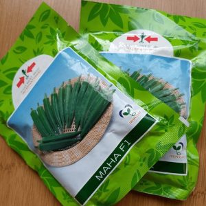 Maha F1 Okra Seeds (East West Seed Brand) | 10g