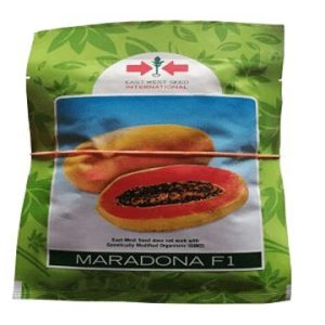 Maradona F1 (Dwarf Papaya | 100 Seeds | 500 Seeds | 1000 Seeds)