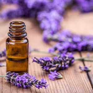 Yosher-Dan Lavender Oil (Natural | Organic)