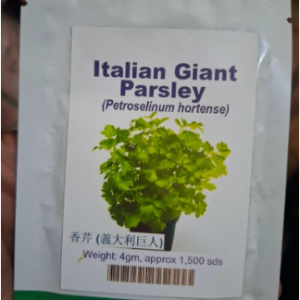 Italian Giant Parsley Seeds