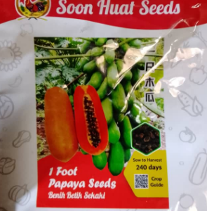 Soon Huat 1 Foot Papaya Seeds | 100 seeds