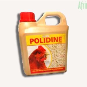 Polidine Disinfectant (Iodophor | Antimicrobial | Fungicide | 1 Liter | 4 Liter)