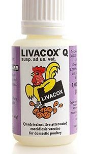Livacox Q (For Layers | 1000-Dose | 5000-Dose) + Transport Flask