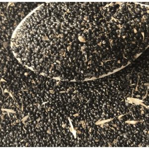 Soko Vegetable Seed | per 50gram