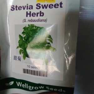 Stevia Sweet Herb | 10 seeds
