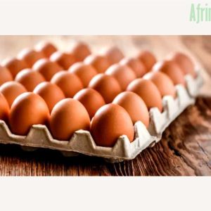 Paper Egg Crates (White | Brown | Bundle of 100 pieces)