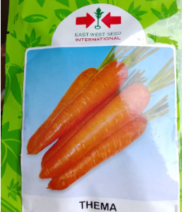 Thema Carrot Seeds (East West Seed Brand ) | 50g
