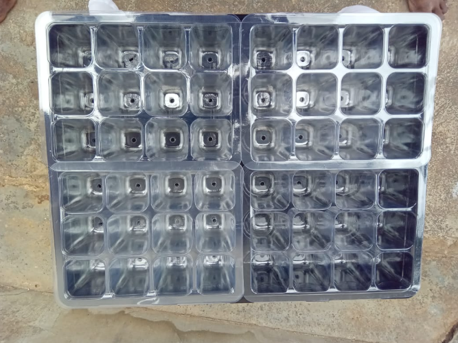 Seed Tray ? 48 Cells with Dome Cover & Adjustable Vent