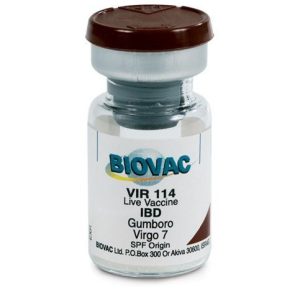 Gumboro Vaccines (Large Dose Vial | 100 | 200 | 500 | 1000 | 2000) + Transport Flask