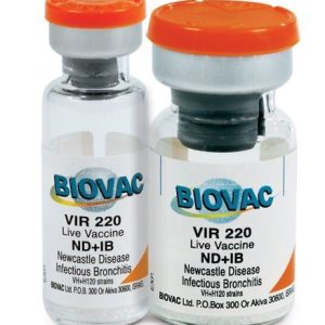 ND IB Vaccine (2-in-1 | Large Dose Vial | 1000 | 2000) + Transport Flask