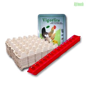Fliptop Feeders + Paper Egg Crates (Combo)