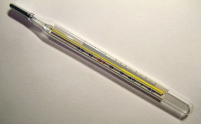 Clinical Thermometer Analogue.