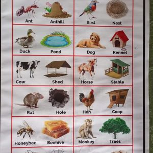 Chart: Domestic Habitat