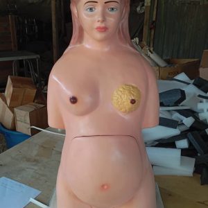 Model: Torso of a pregnant woman